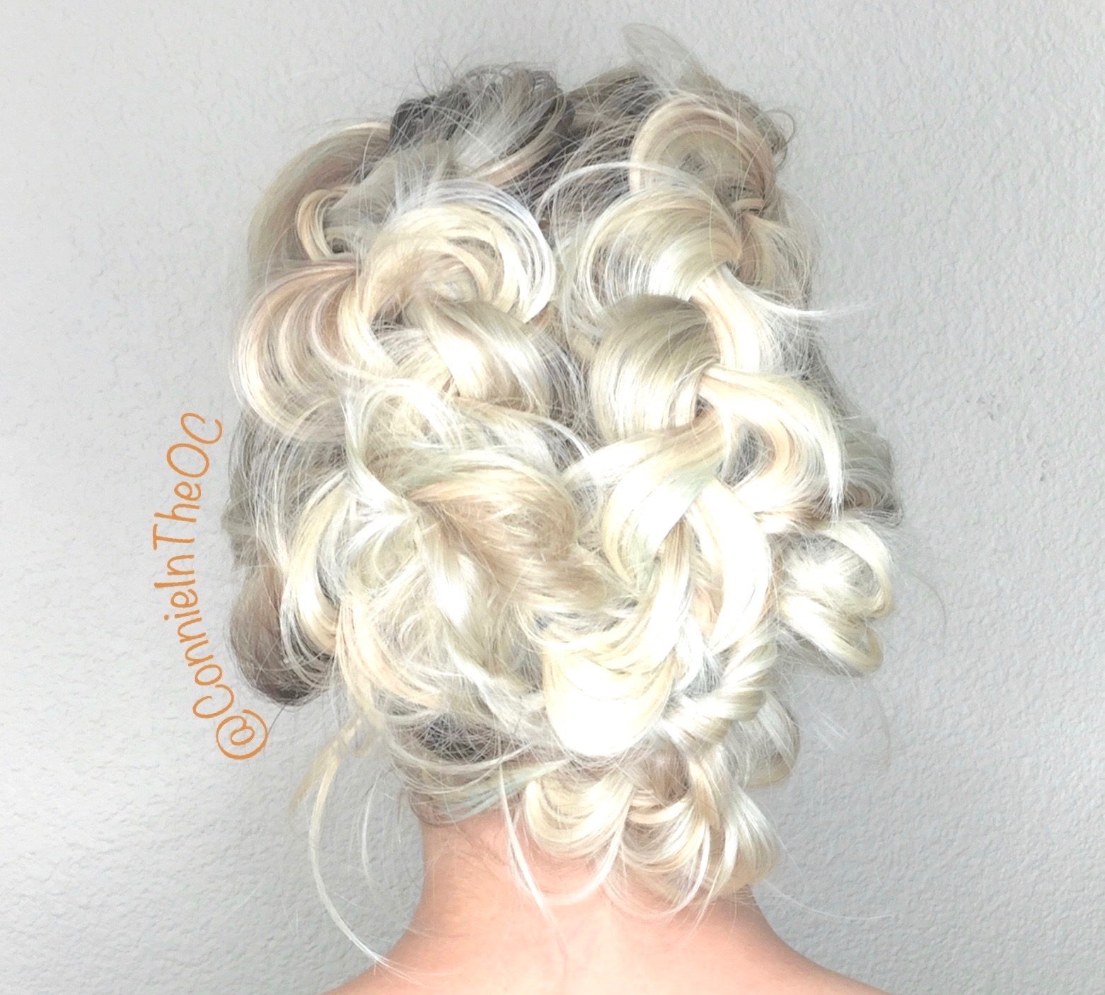 Double Dutch Braid Up Do